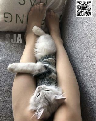 激情综合五月天_国产剧免费在线观看
